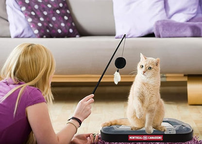 Pets First 5-in-1 Montreal Canadiens Cat Scratcher & Toy with Interactive Cat Ball & Bell