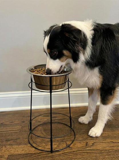 SPOT Hi Rise Single Diner Elevated Dog Feeder, 2qt Stainless Steel Bowl, Durable Wire Stand, Hygienic, Easy to Clean, Promotes Proper Posture for Tall Pets, Ideal for Medium and Large Breeds, 14.25in