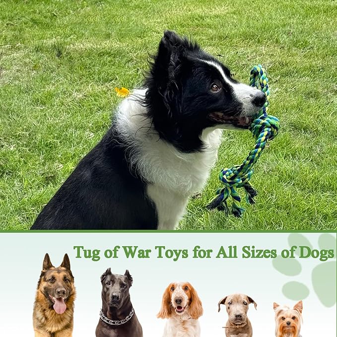 Outdoor Dog Toy,Tug of War Dog Toy for Self Play Interactive Tether Pull Toy for Park,Yard, Lawn Rope Toys for Medium and Large Dogs to Keep Them Busy