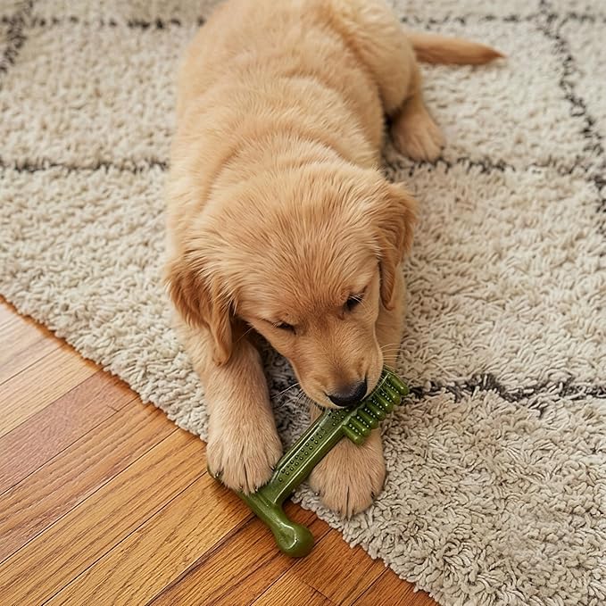 SPOT Bam-Bones Plus Toothbrush Dog Chew Toy, Durable Bamboo Fiber & Nylon Dental Chew, Fresh Mint & Baking Soda for Dental Care, Easy-Grip T-Bone Shape, For Heavy Chewers Under 30 lbs, 4 Inch, 2 Count