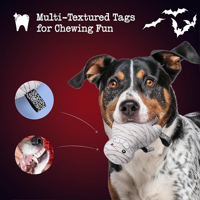 10PC Small Dog Toys Set, Creepy-Theme Puppy Enrichment Small Dog Toys Squeaky & Crinkle Funny Plush Stuffed Christmas Stocking Stuffers Bundle for with Pumpkin, Skeleton, Mummy, Bat & More