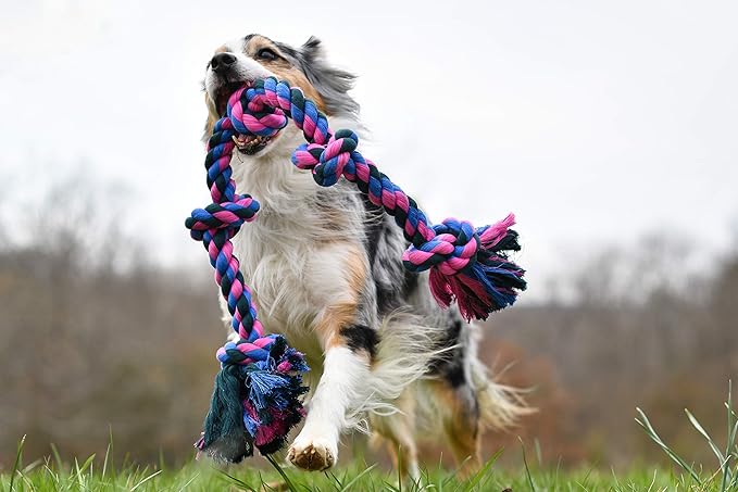 Mammoth Flossy Chews Rope Tug – Premium Cotton-Poly Tug Toy for Dogs – Interactive Rope Toy (Colors May Vary)