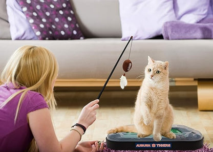 Pets First NCAA Auburn Tigers Reversible Football Field CAT Scratcher Toy with Catnip Filled Plush Football Toy&Feather Cat Toy Hanging with Jingle Bell Interactive Ball Cat Chasing 6-in-1 Kitty Toy