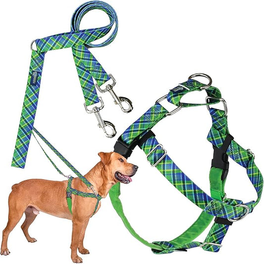2 Hounds Design - Freedom No-Pull Harness & Training Leash in Green and Blue | Dual Leash Loops, No Pulling on Walks | Lined to Prevent Chaffing | for Large Sized Dogs (Size M, Chest 24”- 28”)