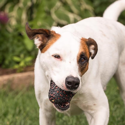 Chew King Supreme Durable Rubber Dog Toy for Aggressive Chewers, Treat-Dispensing Heavy-Duty Chew Toy with Safety Air Vent, Interactive Dog Toy for Training & Enrichment, Large 4.1" x 3.1"