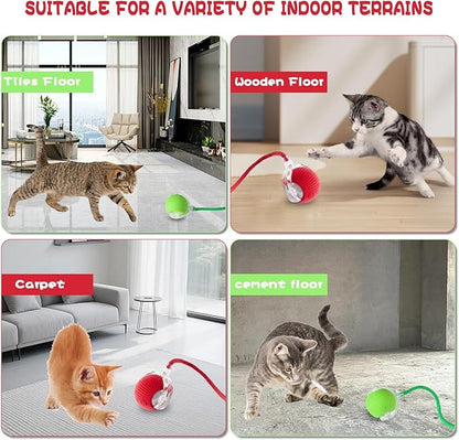 2pcs Interactive Cat Toys Ball for Indoor Cats Fast Rolling on Carpet, Chirping & Motion Activate Cat Toys Kitten Toys for Bored Indoor Cats,Motion Activated (Red+Green)