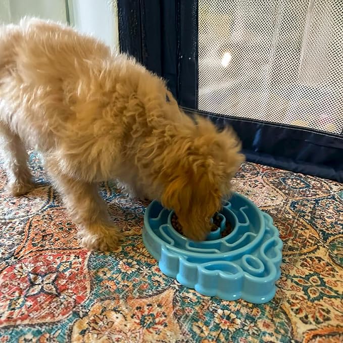 Slow Feeder Dog & Cat Bowl - Interactive Maze Puzzle Dish for Healthy Digestion, Anti-Gulping Food Grade Feede (Blue)