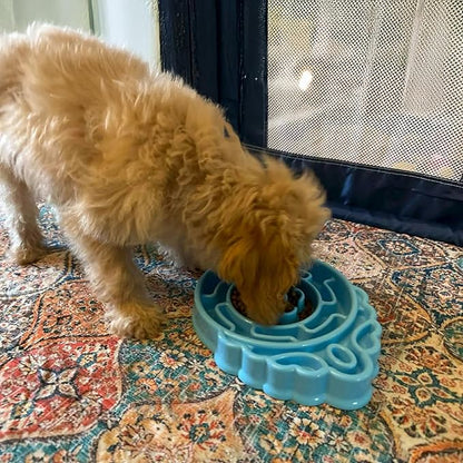 Slow Feeder Dog & Cat Bowl - Interactive Maze Puzzle Dish for Healthy Digestion, Anti-Gulping Food Grade Feede (Blue)