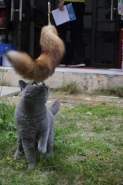Fosrion Real Raccoon Tail Fur Cat Bites Toy with Three Section Retractable Carbon Fiber Rod (Sunny Fox, Only Tail)