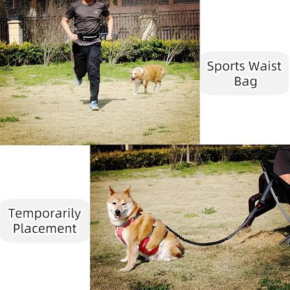 FJ Four Joys Hands Free Dog Leash with Zipper Pouch, Waist Leash for Dog Walking with Shock Absorbing Bungee for Walking, Jogging and Running (Black)