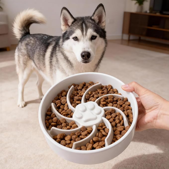 Ceramic Slow Feeder Dog Bowl, 1.5 Cup Dog Food or 20oz Water, Slow Eating Bowl for Small Breed, Maze Puzzle Feeder for Fast Eaters, Anti-Choking Stop Bloat, Non-Slip BPA Free (White)