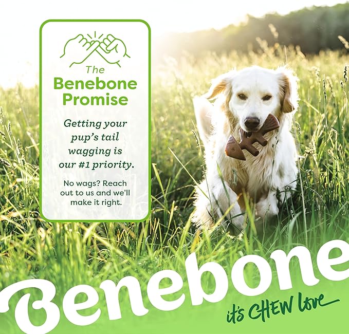Benebone Fishbone Durable Dog Chew Toy for Aggressive Chewers, Real Fish, Made in USA, Medium