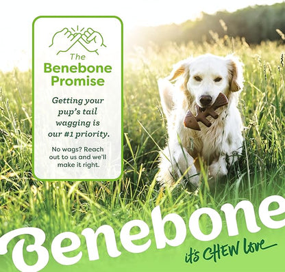 Benebone Fishbone Durable Dog Chew Toy for Aggressive Chewers, Real Fish, Made in USA, Medium