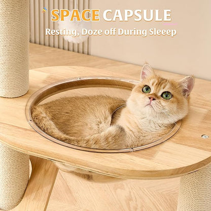HITTITE Solid Wood Cat Tree Tower with Scratching Post, 36.6 Inches Tall Cat Towers with Scratching Board and Scratcher Ball, Modern Cat Tower With Space Capsule and Hand-Woven Basket for Indoor Cats.