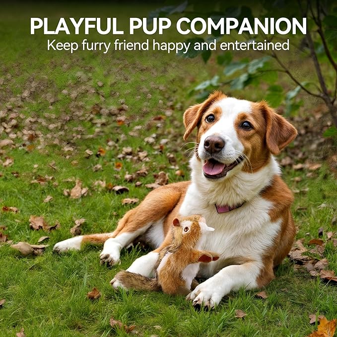 ALL FOR PAWS Squirrel Squeaky Doy Toy, Squirrel Dog Toy for Small Medium Breed, Puppy Fetch Toy with Squeaker, Plush Chew Dog Toy, 5.9 x 4.3 x 2.8 inches, Classic-Chipmunk S
