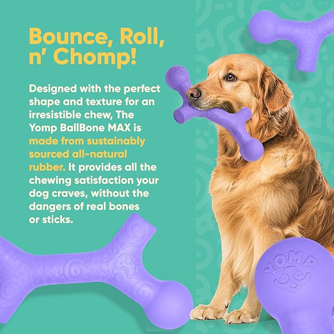 Yomp BallBone MAX: All-Natural Rubber Dog Toy Bone Shape, Nontoxic, Safe for Pet Play, Purple Color, Dishwasher Safe, Freezer Safe for Teething Relief
