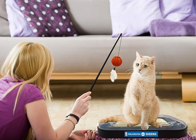 76ERS Basketball Cat Scratcher Toy