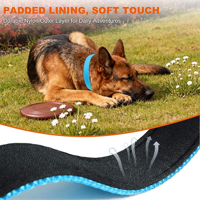 Taglory Reflective Dog Collar with Safety Locking Buckle, Soft Neoprene Padded Dog Collar for Extra Large Dogs, Metal D-Ring, Adjustable Nylon Neck Strap for Walking, Training & Running, Sky Blue, XL
