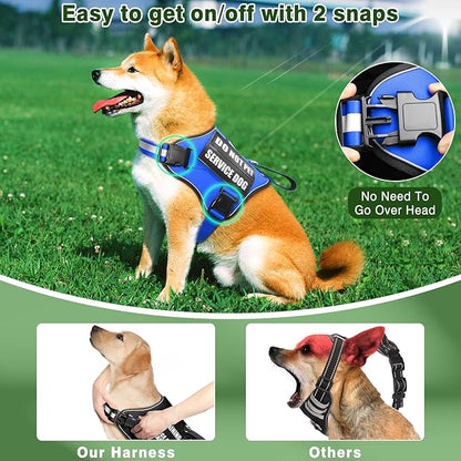 Service Dog Vest Harness and Leash Set+10 Patches,No Pull&Easy Walk Reflective Dog Harness with Soft Padded Handle for Training/Everyday,Fit Small/Medium/Large/Extra-Large Dogs (Blue L)