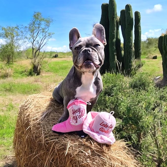 Haute Diggity Dog Cowgirl Hat Plush Dog Toy for Medium & Large Dogs, Western-Inspired Stuffed Dog Toys with Interactive Squeaker, Mesh Lining, Machine-Washable, Durable & Safe, One Size, Pink