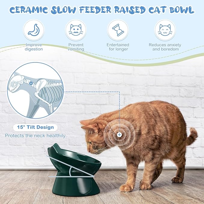 2 Pcs Ceramic Raised Slow Feeder Cat Bowl, 5.91inch Elevated Cat Slow Feeder Bowl Tilted Anti Vomiting for Dry Wet Food and Water Easy to Clean High Edge(Dark Green, Blue)