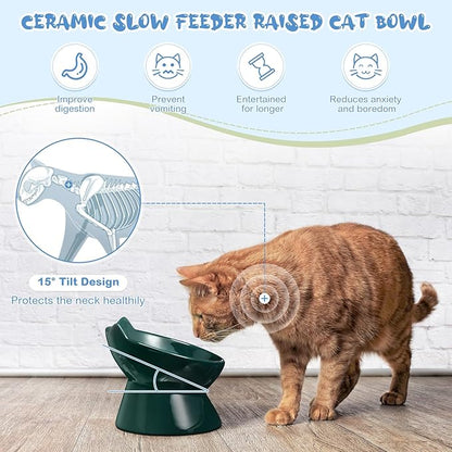 2 Pcs Ceramic Raised Slow Feeder Cat Bowl, 5.91inch Elevated Cat Slow Feeder Bowl Tilted Anti Vomiting for Dry Wet Food and Water Easy to Clean High Edge(Dark Green, Blue)