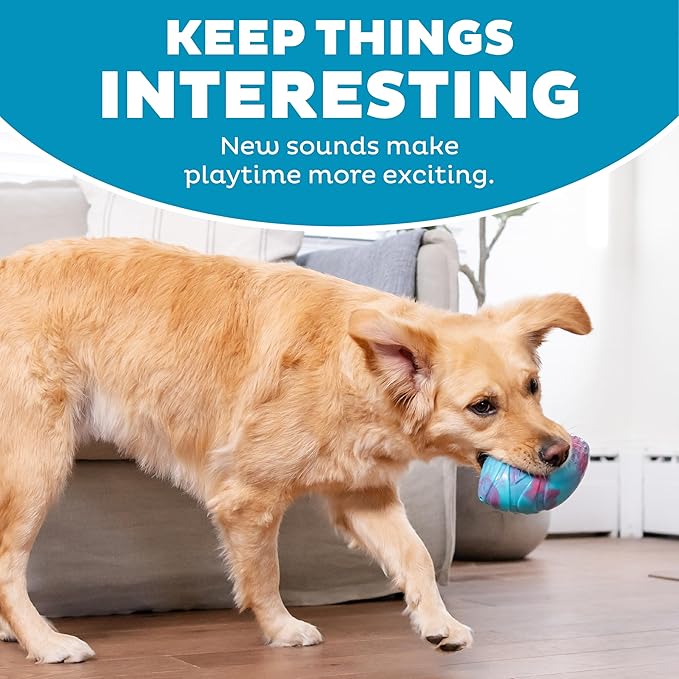 Outward Hound Grunt N' Punt Football Dog Toy - Throwing, Fetching Fun