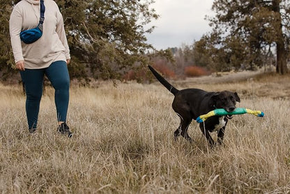 Ruffwear, Pacific Loop Dog Toy, Interactive Tug Toy for Playing and Training, Aurora Teal