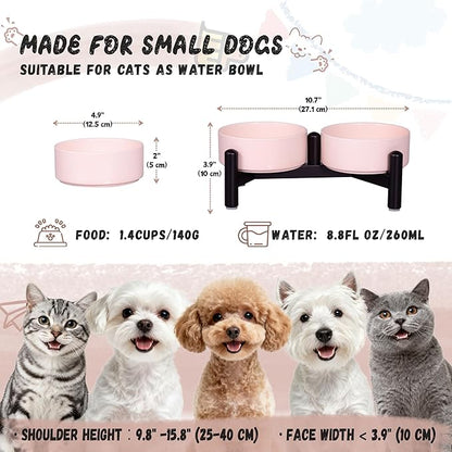 Elevated Ceramic Dog Bowl Set - Cute Double Dishes with Stainless Steel Stand – Raised Feeding Bowls for Cats and Small Dogs - Food & Water Set - 5" / 1.4 Cups (140 g / 260 ml) - Pink