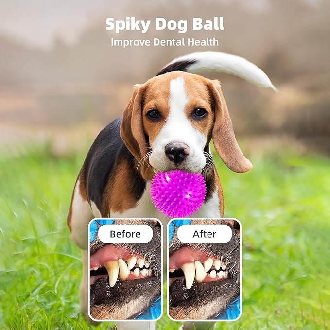 2 Pack 4.5” Squeaky Dog Balls for Large and Medium Dogs, Spiky Dog Toy Balls for Aggressive Chewers