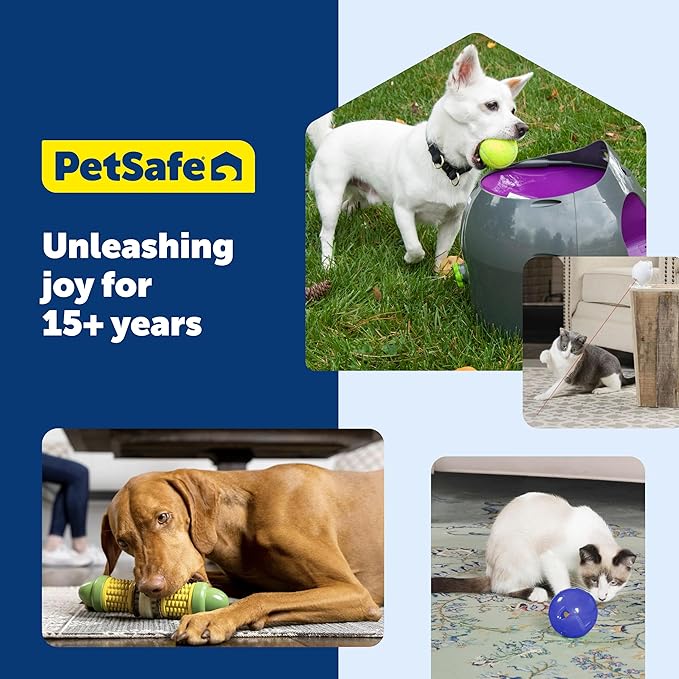PetSafe Freezable Treat Holding Chilly Penguin - Durable, Vanilla-Scented, Rubber, Freezable Interactive Pet Puzzle for Boredom or Separation Anxiety - for Medium & Large Dogs (Pack of 2)