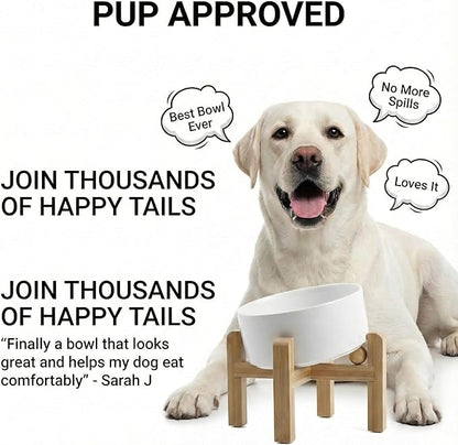 hjn Elevated Ceramic Dog Bowl 15°Slanted Raised Dog Bowl with Bamboo Stand for Small Medium Dogs and Cats, Pet Feeder -7.6-Cup (1800ml)-White