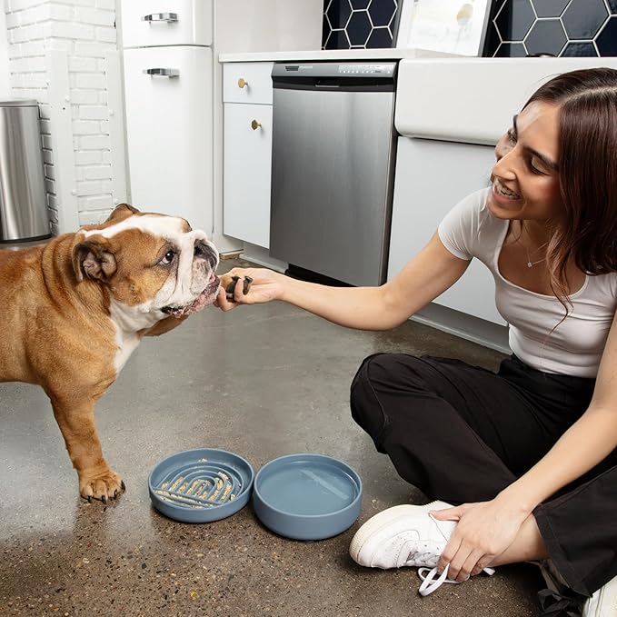 Should We Go? Dog Water Bowl - The Perfect Dish No-Spill, Less Mess Non-Tippable Water & Food Bowl, Pure Silicone with Suction Cup Fits 5 Cups 7.5" Across x 2.25" Tall Ideal for All Pets, Medium-Honey