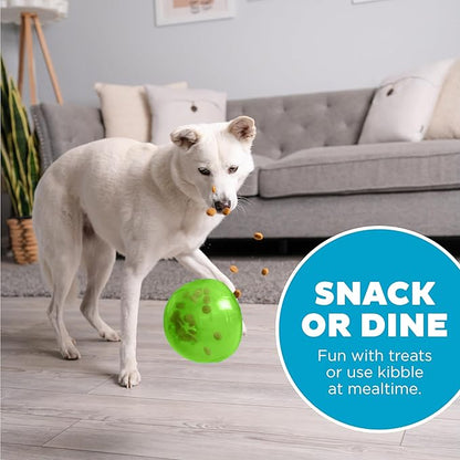 Outward Hound by Planet Dog Snoop Dog Toy – Treat‑Dispenser Puzzle Ball,Interactive Slow Feeder,Medium to Large Dogs,Bouncy & Mint-Infused,Green,5",(Pack of 2)