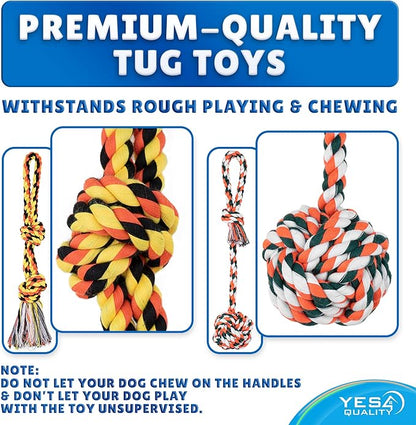 YES4QUALITY Dog Outdoor Bungee Hanging Toy, Blue Interactive Tree Tug Toy Rope w/Metal Spring Kit & 2 Rope Toys, Heavy-Duty Exercise Equipment for Medium & Large Dogs, Tether Tug of War Dog Toys