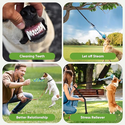Dog Bungee Toy for Small/Medium Dogs,Interactive Dog Tug of War Toys Set with Tether, Rope and Ball, Tree Hanging Toy,Indoor Dog Rope Toy,Not for Aggressive Chewers