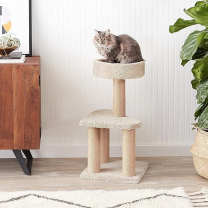 Amazon Basics Cat Tree - Multi-Level Climbing Activity Tower with Jute Rope Scratching Posts for Indoor Cats & Kittens, Medium (31.5"H), Beige