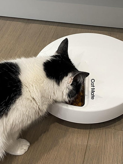 Cat Mate C500 Automatic 5 Bowl Digital Timer-Controlled Pet Feeder - for Cats and Small Dogs, Wet or Dry Food, Includes Twin Ice Packs, 5 Meals Up to 0.73 lb Each, White