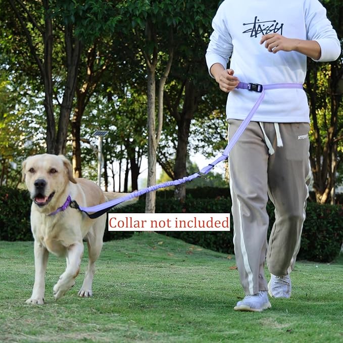 Hands Free Dog Leash, No Pull Bungee Dog Running Waist Leash, with Car Seat Belt, Reflective Stripes, Heavy Duty for Medium and Large Dogs. (Solid Lilac, Large)