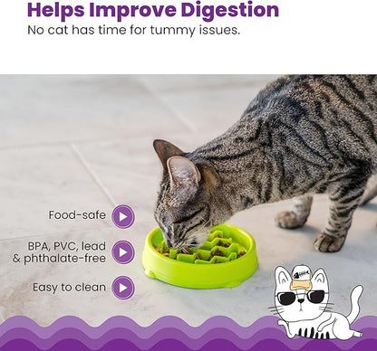Catstages Kitty Slow Feeder Bowl for Cats & Small Dogs, Puzzle Dish for Fast Eaters, for Wet or Dry Food, Helps Slow Eating & Aid Digestion, Non-Slip, Made Without BPA, 3/4 Cup, 5-Inch, Green