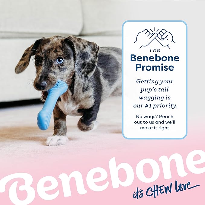 Benebone Puppy 2-Pack Rubber Bone/Wishbone Bacon Tiny