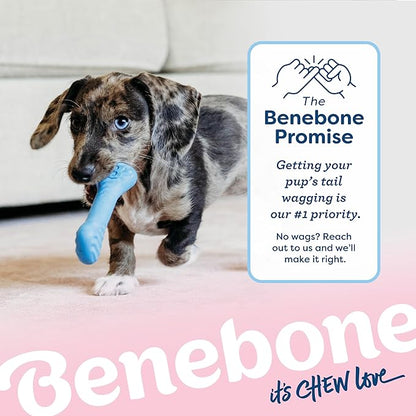 Benebone Puppy 2-Pack Rubber Bone/Wishbone Bacon Tiny