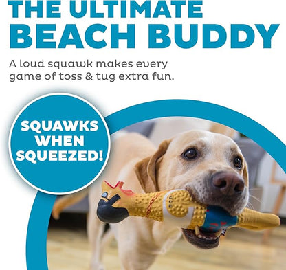 Outward Hound by Charming Pet Squawkers Earl Latex Squeaky Rubber Chicken Dog Toy,Funny Interactive Holiday Toy for Dogs,Large Size,(Pack of 2)