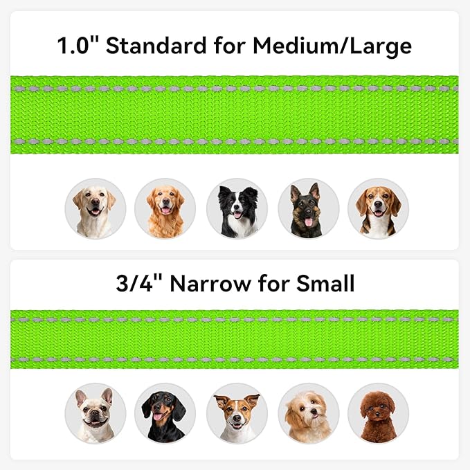 Joytale Dog Leash, 6 FT Double-Sided Reflective, Padded Handle Nylon Heavy Duty Leashes for Small Dogs Walking, Green
