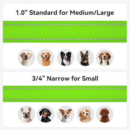 Joytale Dog Leash, 6 FT Double-Sided Reflective, Padded Handle Nylon Heavy Duty Leashes for Small Dogs Walking, Green