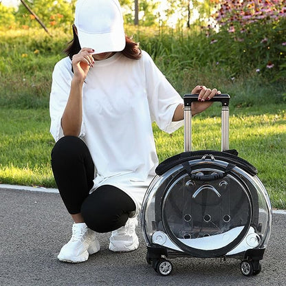 Pet Carrier with Wheels for Cats and Dogs, Clear Hard-Shell Rolling Pet Carrier with Retractable Handle, Airline-Approved Travel Carrier, Portable Cat and Dog Stroller (Black)