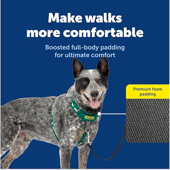 PetSafe Easy Walk Comfort No-Pull Dog Harness - Better Walk Training Harness - Full Body Padded Design - Durable Fabric - 5 Point Adjustable Fit - Everyday Leash Training - Green - Medium/Large