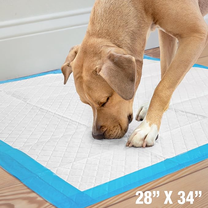 Four Paws Wee-Wee Superior Performance Unscented Extra-Large Pee Pads for Dogs & Puppies, Quilted Leak-Proof Dog Housebreaking Potty Training Floor Protection, 28" x 34", 14 Count