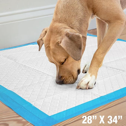 Four Paws Wee-Wee Superior Performance Unscented Extra-Large Pee Pads for Dogs & Puppies, Quilted Leak-Proof Dog Housebreaking Potty Training Floor Protection, 28" x 34", 14 Count