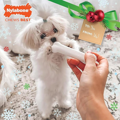 Nylabone Puppy Starter Kit, 2 Teething Toys and 1 Natural Treat for Puppies, Chicken & Bacon Flavor, Small - Up to 25 lbs, 3 Pack